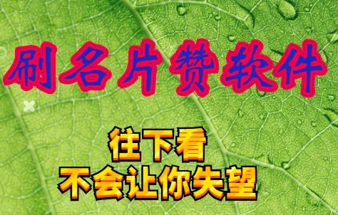 刷名片赞软件,qq名片赞怎么刷?这个技能对你很有用!
