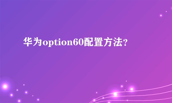华为option60配置方法？