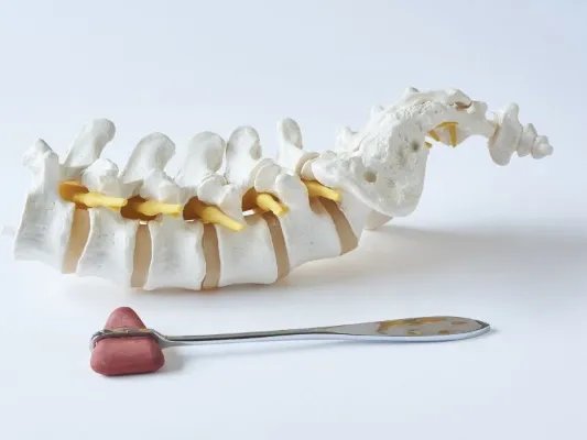 腰椎盘突出怎么锻炼