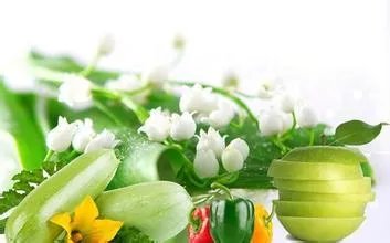 中国绿色食品发展中心