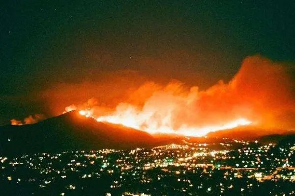 亡猿祸木比喻什么生肖