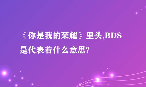 《你是我的荣耀》里头,BDS是代表着什么意思?