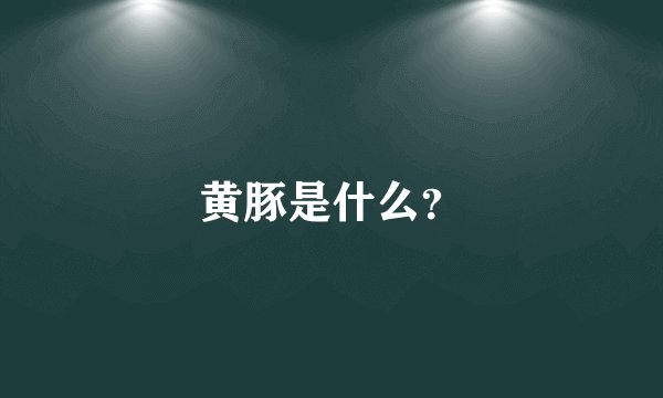 黄豚是什么？
