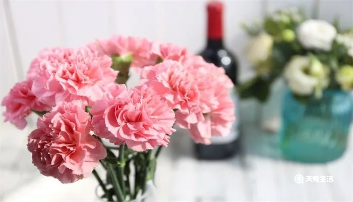 母亲节送妈妈什么花