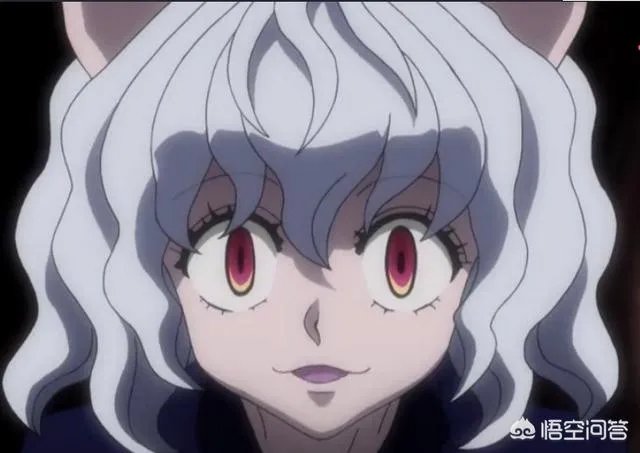 全职猎人蚂蚁篇结局是什么意思啊？