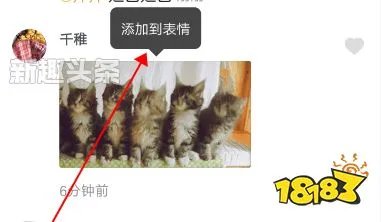 抖音评论猫咪蹦迪动态图表情包怎么发 五只猫摇头表情弄法