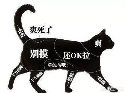 管理型人才和技术型人才有什么不一样,当前社会急需哪种人才?