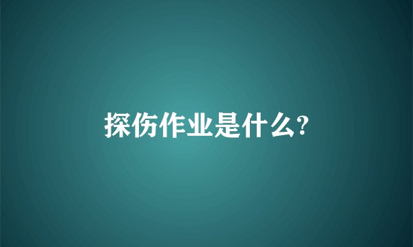 探伤作业是什么?
