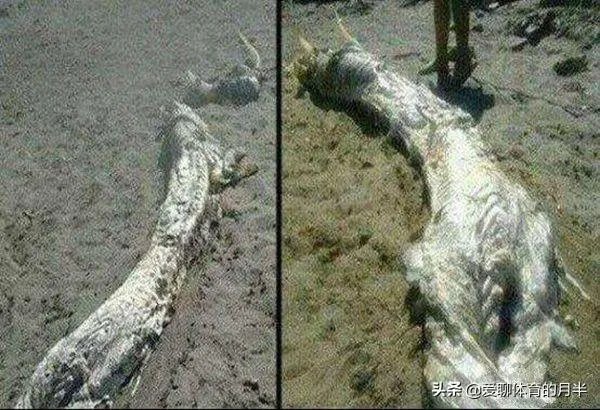 威宁秀水镇有山体怪声，当地传说有龙，专家都去了，大家怎么看？