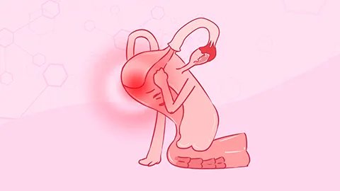 妇科炎症吃什么中药好