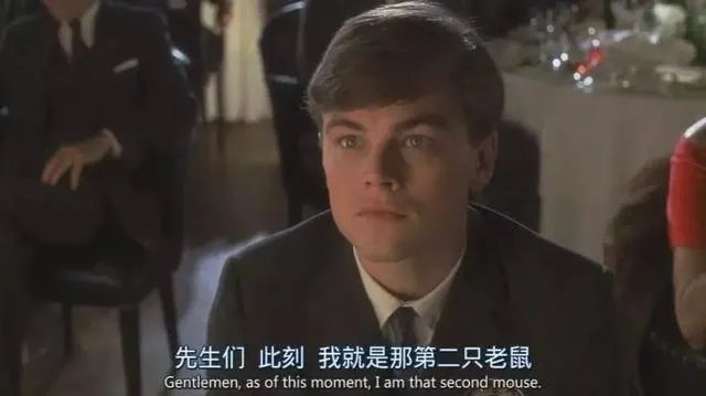 莱昂纳多在《猫鼠游戏》中的表现如何？