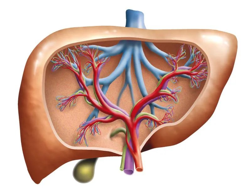 新生儿肝炎综合征的症状