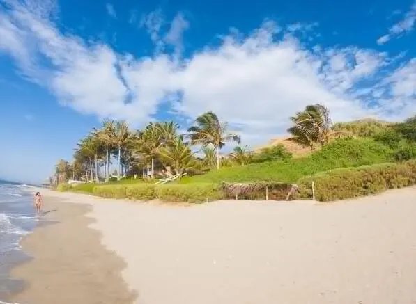 2020初伏从哪一天开始 初伏是几月几日2020