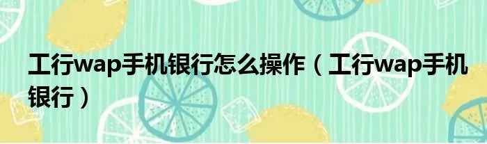 工行wap手机银行怎么操作（工行wap手机银行）