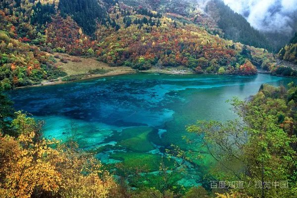 张小龙发微博道歉，这是什么情况？