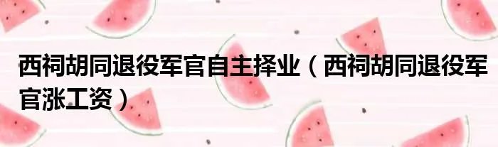 西祠胡同退役军官自主择业（西祠胡同退役军官涨工资）