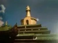 去西藏旅游的真实情况是什么？