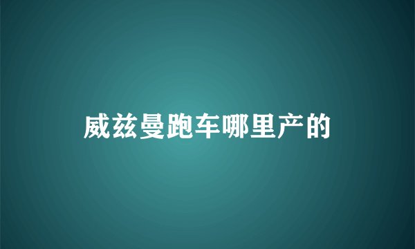 威兹曼跑车哪里产的