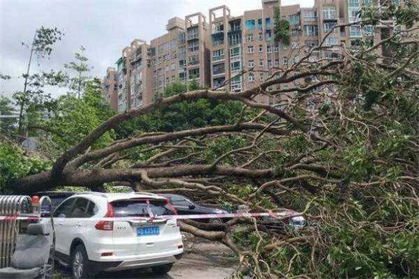 惊涛拍岸！“梅花”登陆舟山掀十数米狂浪，是否会引发自然灾害？