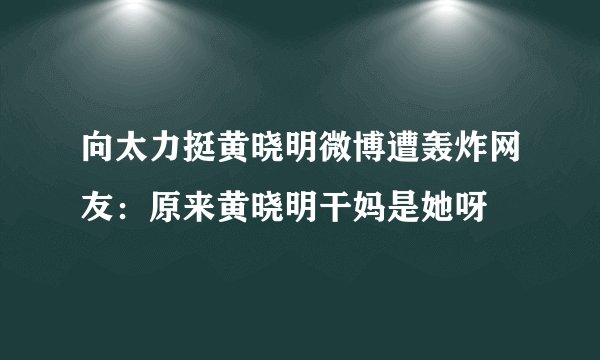 向太力挺黄晓明微博遭轰炸网友：原来黄晓明干妈是她呀