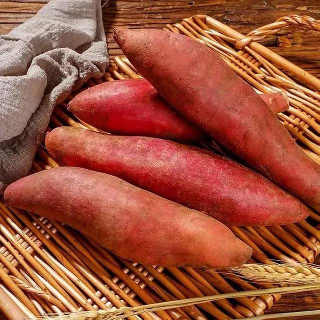 薯匠红薯卖到了哪里？