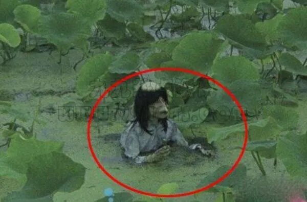 怪兽之谜为什么不播了？太过诡异（真实的令人害怕）