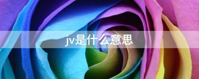 jv是什么意思