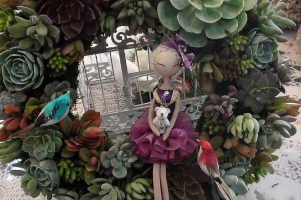 十大最贵的多肉有哪些？