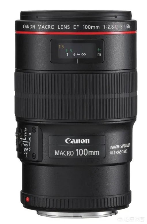 折耳鱼不呼吸在线观看免费