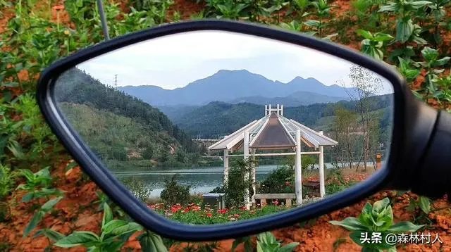 汽车自驾游的感受有哪些？