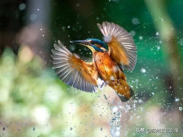 买了70-200f2.8，有必要换成70-200f2.8IS吗？为什么？