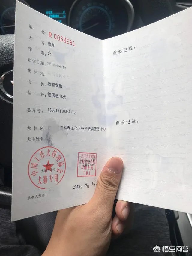 杭州试点“公共遛犬区”，市民终于能带爱犬晒太阳了，你怎么看？