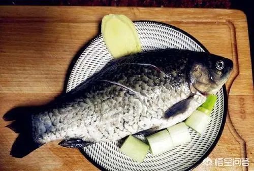 怎样熬鲫鱼汤？