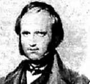 揭秘：“美国猴子案件”始末