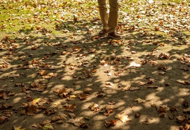 2021白露几时几分几秒 今年白露具体准确时间表