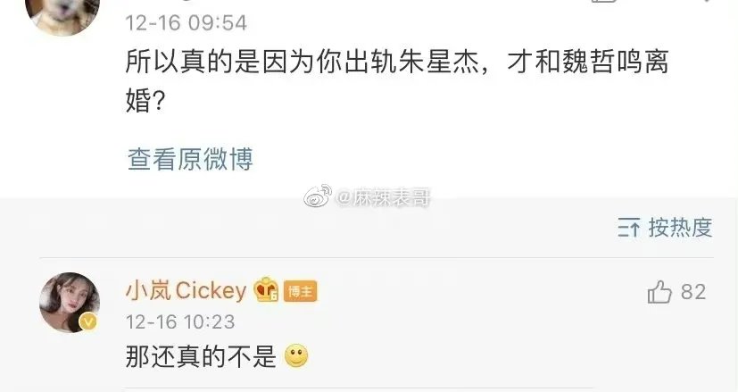 魏哲鸣为什么离的婚？魏哲鸣前妻王岚这么说