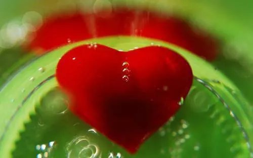 遇你风华正茂时苏黎陆宴北 遇你风华正茂时小说全文阅读