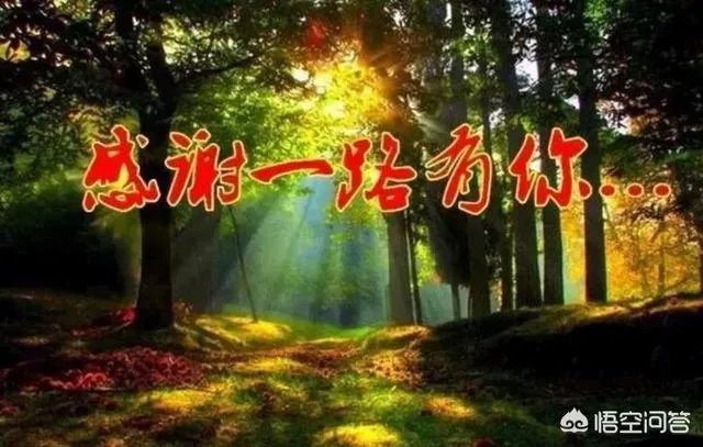 钱负担不起什么意思