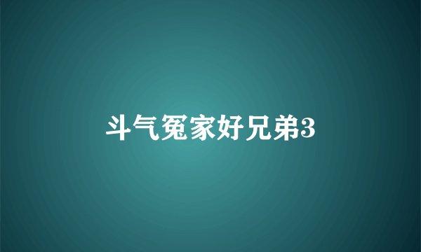 斗气冤家好兄弟3