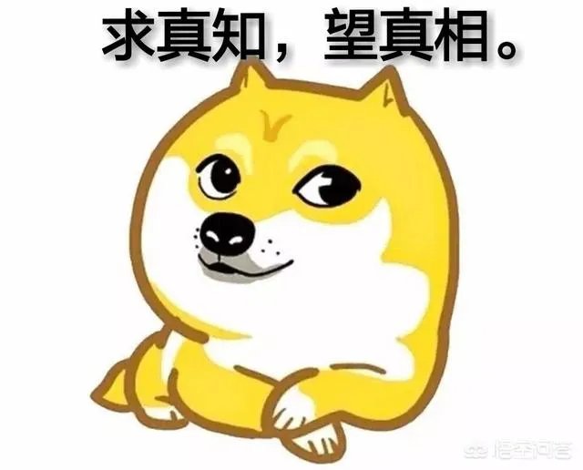 如何看待济南新发布的养狗通告？