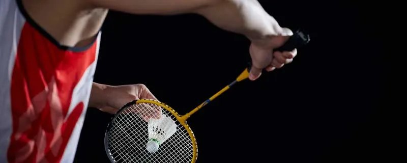 一支羽毛球上通常有几根羽毛