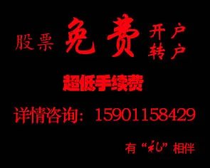 000539股价要多少才能抛呀