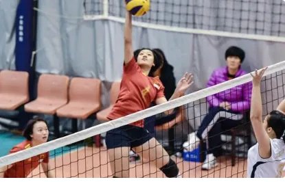 男排女排网一样高吗