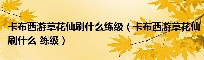 卡布西游草花仙刷什么练级（卡布西游草花仙刷什么 练级）