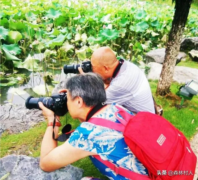 汽车自驾游的感受有哪些？