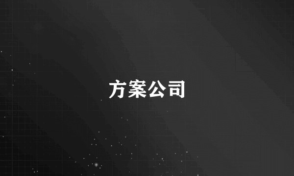 方案公司