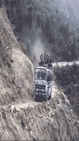 有哪些搞笑gif动画呢?