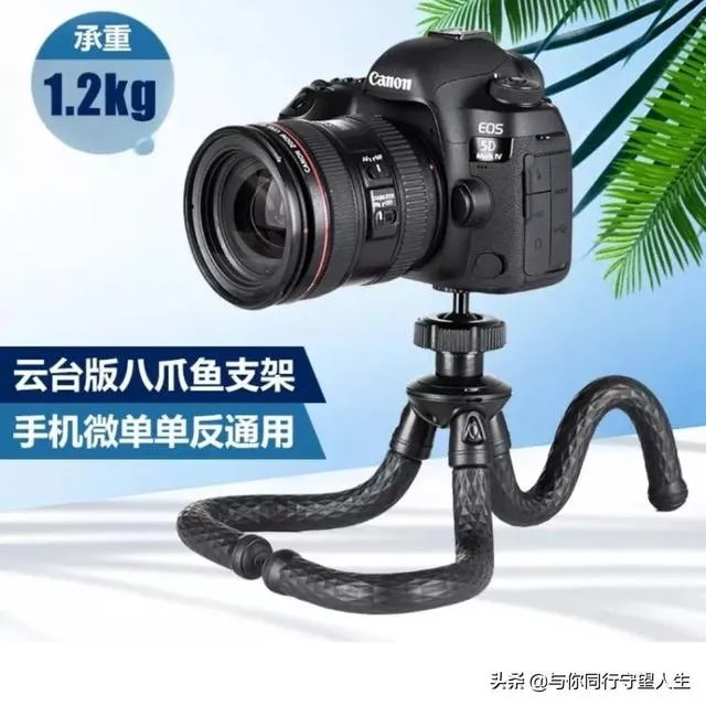 怎样拍好视频，我拍的视频都没人看？