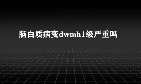 脑白质病变dwmh1级严重吗