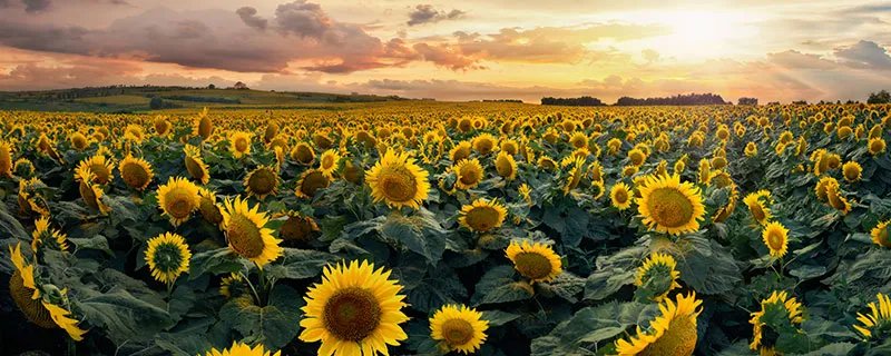 百花谷风景区 百花谷风景区游玩攻略